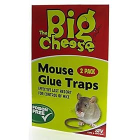 The Big Cheese - Mouse Glue Trap x 2