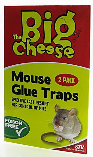 The Big Cheese - Mouse Glue Trap x 2