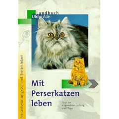 Mit Perserkatzen leben