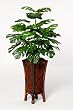House of Silk Flowers Artificial Split Philo Floor Plant 24"W x 42"H