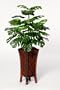 Artificial Split Philo Floor Plant Rattan