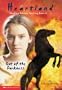 Heartland #7: Out of the Darkness