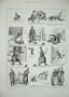 1886 Police Dogs Street People Law Comedy Dadd Print
