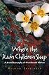 Where the Rain Children Sleep : A Sacred Geography of the Colorado Plateau