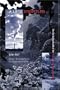 A Land Imperiled: The Declining Health of the Southern Appalachian Bioregion