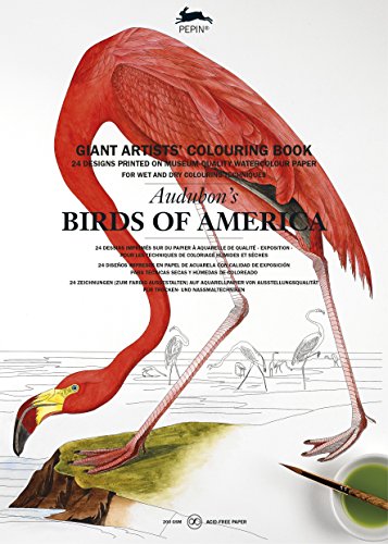 Audubon's Birds of America: Giant Artists' Colouring Book (Giant Artists' Colouring Books)