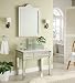 36" Mirrored Vessel Sink Vanity - Aslton Model # BWV-015/36