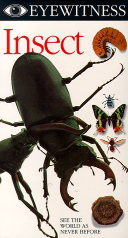 Eyewitness - Insect