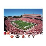 NCAA Georgia Bulldogs Sanford Stadium Mural Wall Graphic