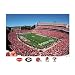 NCAA Georgia Bulldogs Sanford Stadium Mural Wall Graphic