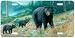 Bearly Climbing - Bear Art Print - License Plate by Randy McGovern from Airstrike, Inc.