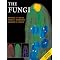 Fungi, lichen & slime moulds
