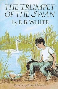 Chapter Books for Boys 513Nf%2BVovSL. SL500 SY300 Chapter Books for Boys