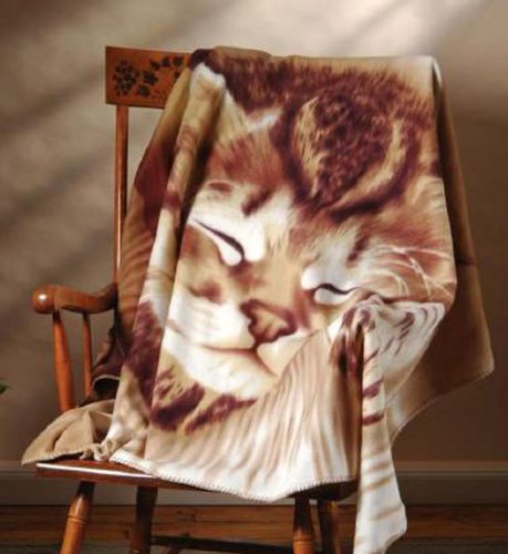 Brown with White Cute Kitten Fleece Blanket or Throw 48 X 63