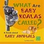 What Are Baby Koalas Called?: A Book about Baby Animals (Why in the World?)