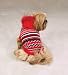 Dog Holiday Striped Hoodie Sweater - Red - Medium