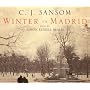 Winter in Madrid