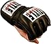 TITLE MMA COMP. GLOVES