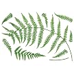 Fern Stickers - Green