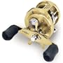 Shimano Calcutta TE CTE100GT