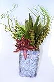 Cactus Aloe Artificial Plant Indoor Outdoor