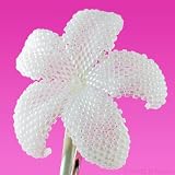 HawaiianPlumeriaFlower-pearlywhite-beadedflowerclip