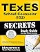 TExES School Counselor (152) Secrets Study Guide: TExES Test Review for the Texas Examinations of Educator Standards