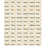Flash Cards by Tim Holtz Idea-ology, Elementary, 1.5 x 2.5 Inches, 72 Double-Sided Cards, TH93190