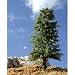Search : Deciduous Trees w/Real Wood, Summer 6-9