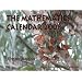 The Mathematics Calendar 2008: Exploring the Ever Evolving Worlds of Mathematics