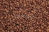 Wallmonkeys Peel and Stick Wall Decals - Field of Coffee - 24