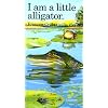 I Am a Little Alligator: Mini (Little Animal Miniature)