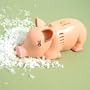Miniature Pig Tabletop Vacuum
