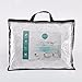 Puredown White Goose Feather and Down Pillow, Queen, Set of 2