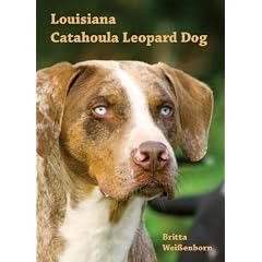 Louisiana Catahoula Leopard Dog: Charakter, Standard und Geschichte