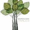 Image of album by Peter Bradley Adams