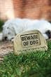 Tiding stone, Beware of Dog