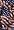 Old Glory