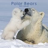 Polar Bears 2009 Calendar
