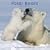 Polar Bears 2009 Square Wall Calendar