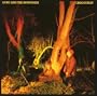 Crocodiles (Album Version)