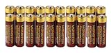 Monster Cable MB AA ALKA-20 High Capacity Alkaline Monster PowerCells
