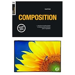 Basics Photography: Composition (Basics Photography)