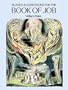 Blake's Illustrations for the Book of Job