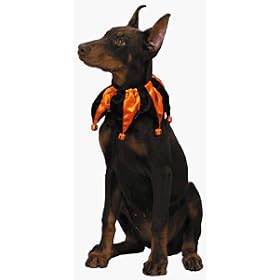 Dog Jester Collar with Pumpkin Bells