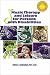 Music Therapy and Leisure for Persons With Disabilities (Special Population)