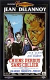 Revue Film Office  / Chien perdus sans collier