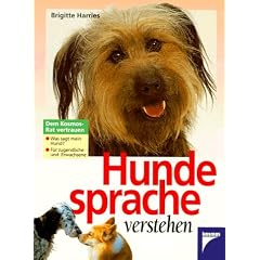 Hundesprache verstehen
