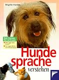 Hundesprache verstehen