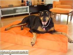 Memory Foam Orthopedic Dog Beds 36" x 52" Extra Large KIWI Microfiber